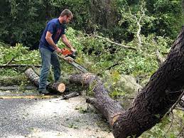 Best Seasonal Cleanup (Spring/Fall)  in South Paris, ME