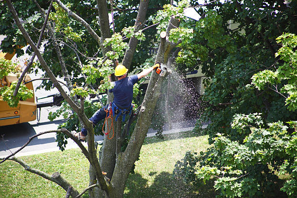 Landscape Design and Installation in South Paris, ME